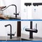 Kibi Circular 2-in-1 Water Filter Kitchen Pull Out Faucet- Matte Black KFF502MB - alternate 2